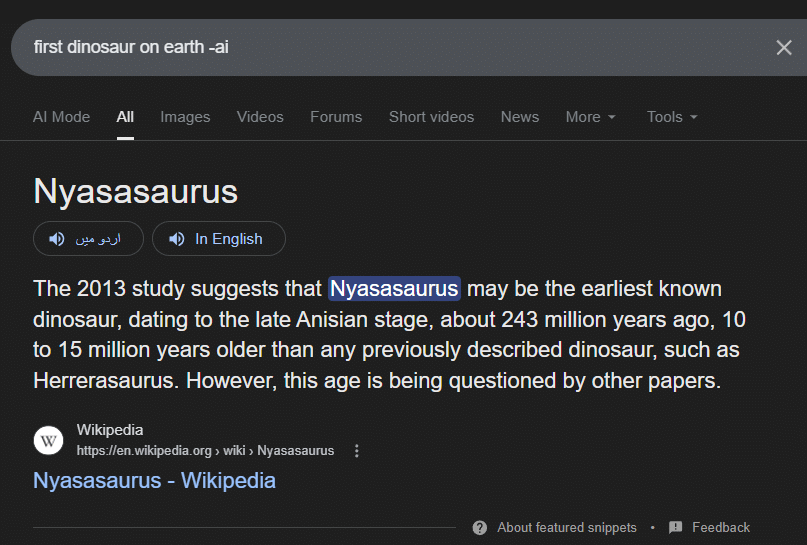 The classic Google Snippet: A helpful teaser that invited further investigation.